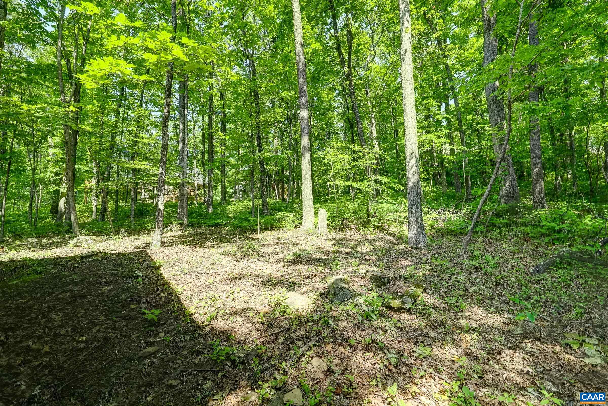 973 LAUREL SPRINGS DR, ROSELAND, Virginia 22967, 3 Bedrooms Bedrooms, ,3 BathroomsBathrooms,Residential,973 LAUREL SPRINGS DR,666164 MLS # 666164