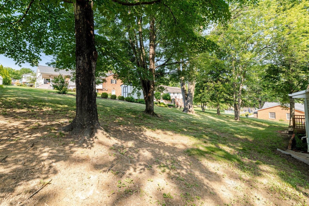 405 CEDAR ST, HARRISONBURG, Virginia 22801, 3 Bedrooms Bedrooms, ,1 BathroomBathrooms,Residential,405 CEDAR ST,666177 MLS # 666177