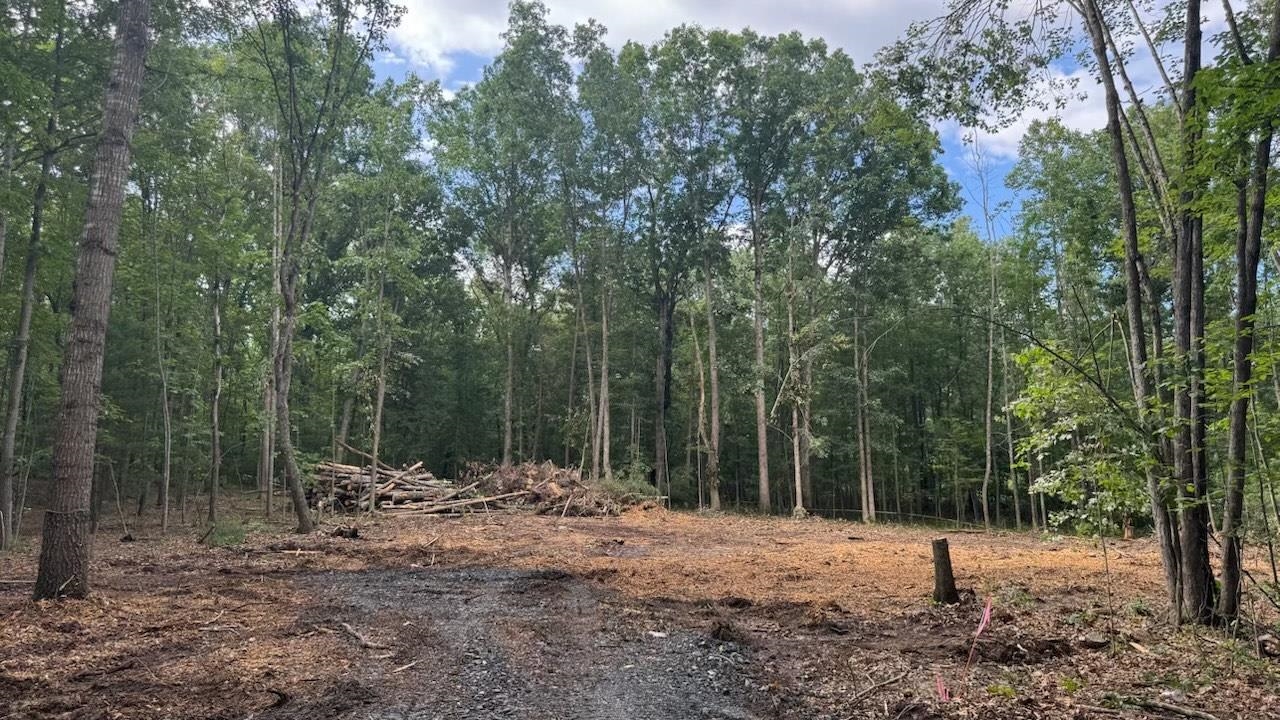 Lot 8 MORELAND GAP RD, NEW MARKET, Virginia 22844, 3 Bedrooms Bedrooms, ,2 BathroomsBathrooms,Residential,Lot 8 MORELAND GAP RD,666189 MLS # 666189