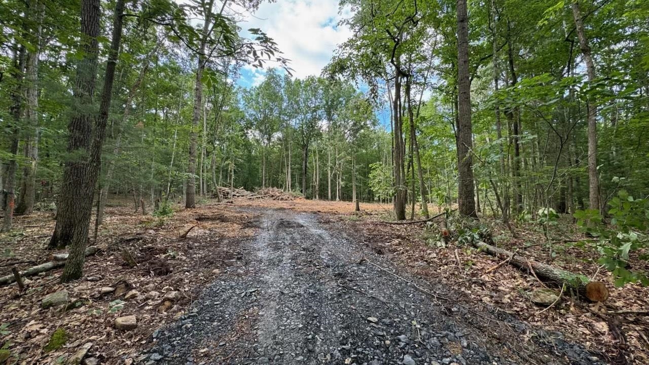 Lot 8 MORELAND GAP RD, NEW MARKET, Virginia 22844, 3 Bedrooms Bedrooms, ,2 BathroomsBathrooms,Residential,Lot 8 MORELAND GAP RD,666189 MLS # 666189
