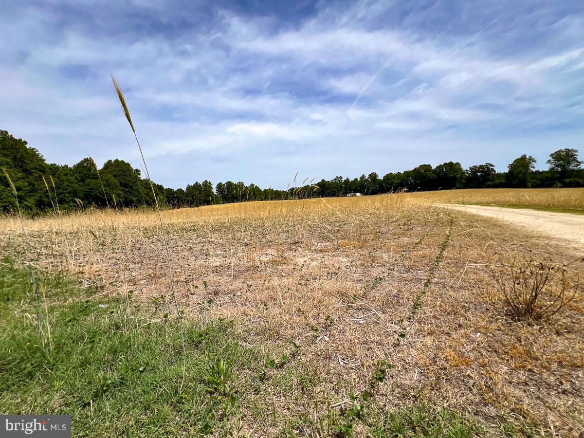 32082 SPARTA RD, MILFORD, Virginia 22514, 2 Bedrooms Bedrooms, ,1 BathroomBathrooms,Residential,For sale,32082 SPARTA RD,VACV2008182 MLS # VACV2008182