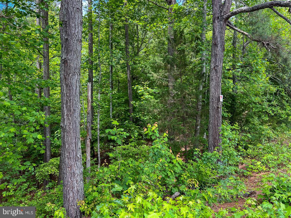 32082 SPARTA RD, MILFORD, Virginia 22514, 2 Bedrooms Bedrooms, ,1 BathroomBathrooms,Residential,For sale,32082 SPARTA RD,VACV2008182 MLS # VACV2008182