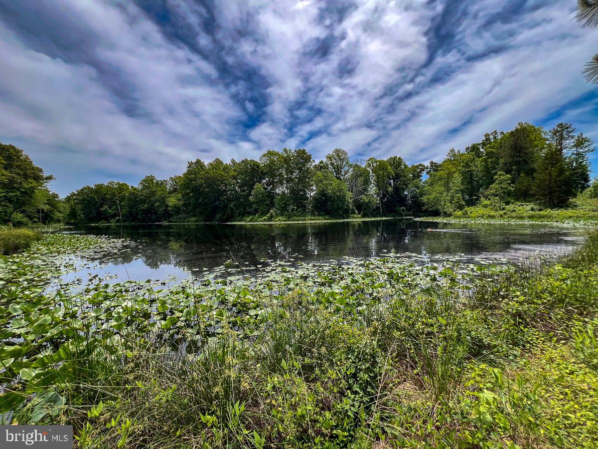 32082 SPARTA RD, MILFORD, Virginia 22514, 2 Bedrooms Bedrooms, ,1 BathroomBathrooms,Residential,For sale,32082 SPARTA RD,VACV2008182 MLS # VACV2008182
