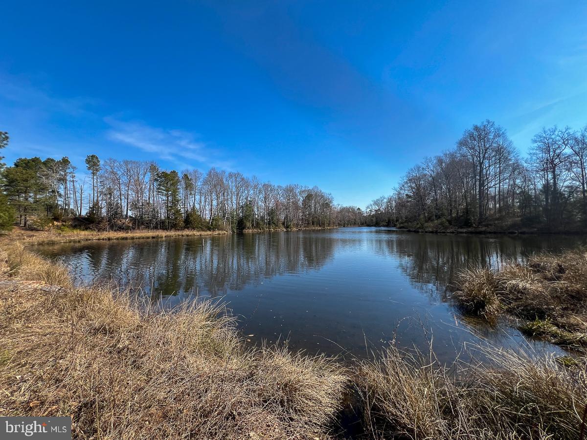 32082 SPARTA RD, MILFORD, Virginia 22514, 2 Bedrooms Bedrooms, ,1 BathroomBathrooms,Residential,For sale,32082 SPARTA RD,VACV2008182 MLS # VACV2008182