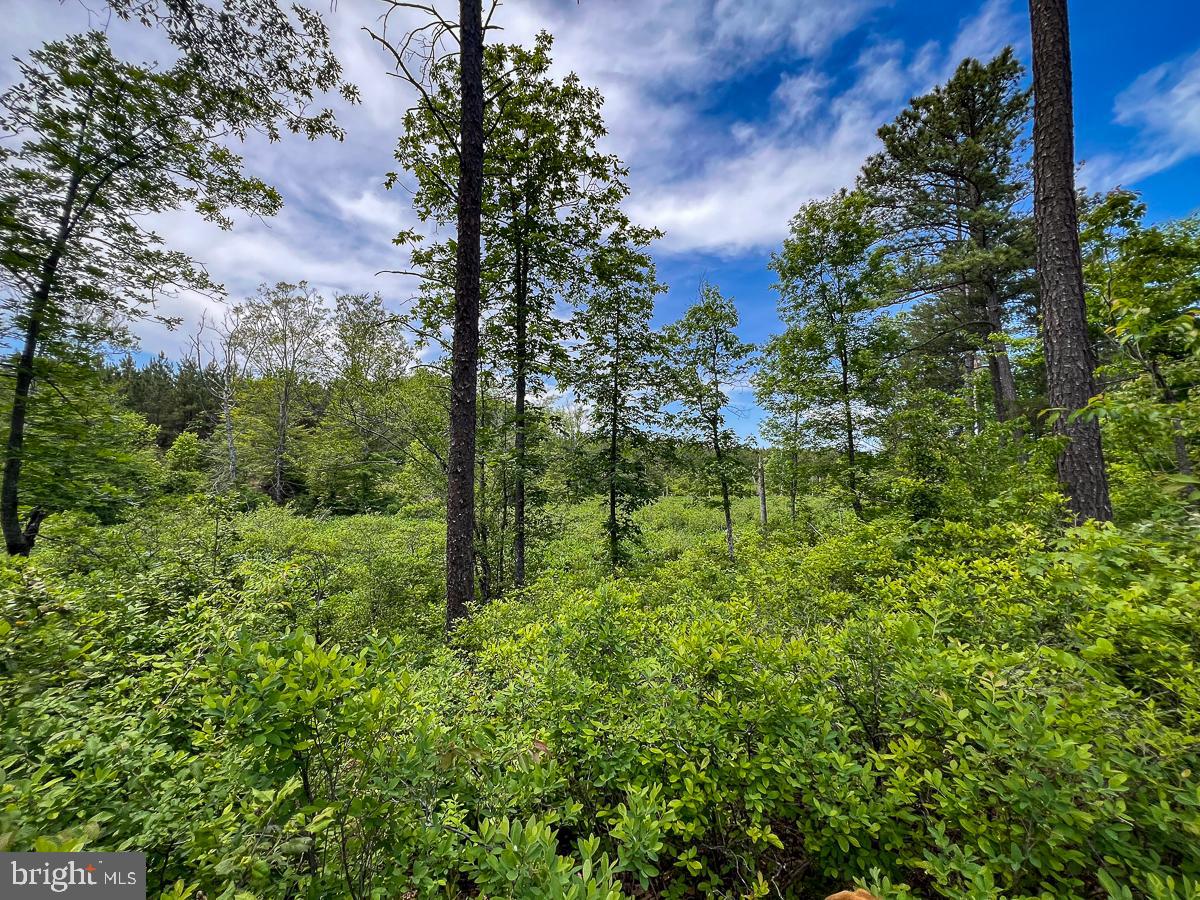 32082 SPARTA RD, MILFORD, Virginia 22514, 2 Bedrooms Bedrooms, ,1 BathroomBathrooms,Residential,For sale,32082 SPARTA RD,VACV2008182 MLS # VACV2008182