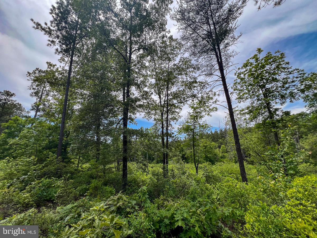 32082 SPARTA RD, MILFORD, Virginia 22514, 2 Bedrooms Bedrooms, ,1 BathroomBathrooms,Residential,For sale,32082 SPARTA RD,VACV2008182 MLS # VACV2008182