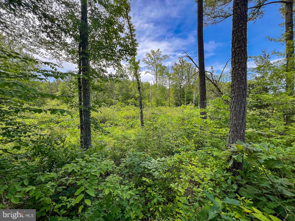 32082 SPARTA RD, MILFORD, Virginia 22514, 2 Bedrooms Bedrooms, ,1 BathroomBathrooms,Residential,For sale,32082 SPARTA RD,VACV2008182 MLS # VACV2008182