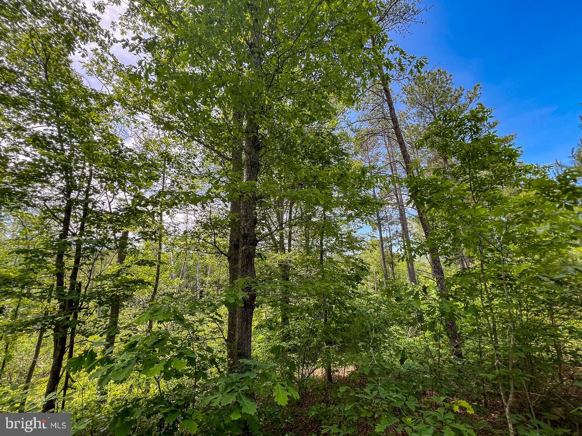 32082 SPARTA RD, MILFORD, Virginia 22514, 2 Bedrooms Bedrooms, ,1 BathroomBathrooms,Residential,For sale,32082 SPARTA RD,VACV2008182 MLS # VACV2008182