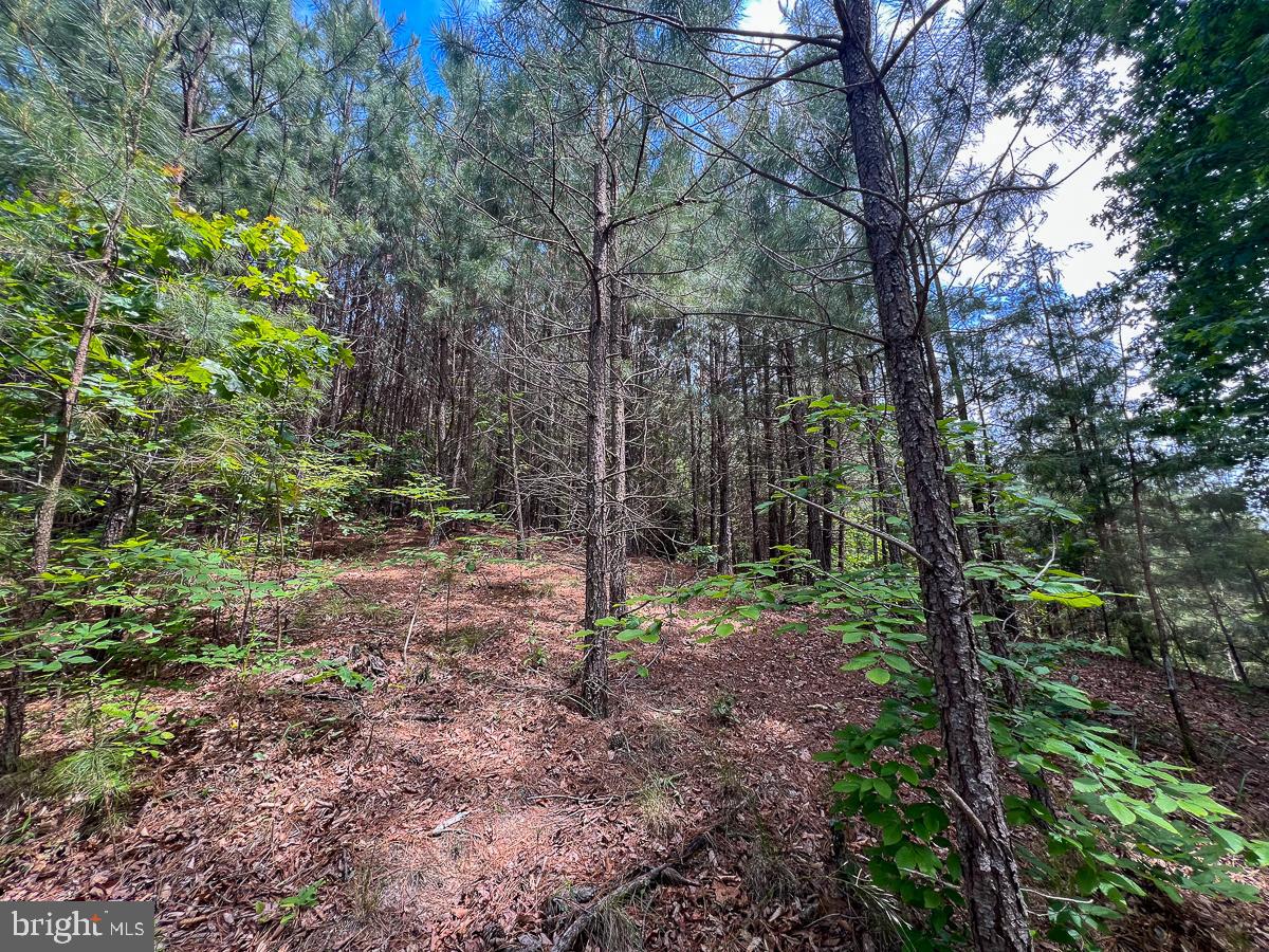 32082 SPARTA RD, MILFORD, Virginia 22514, 2 Bedrooms Bedrooms, ,1 BathroomBathrooms,Residential,For sale,32082 SPARTA RD,VACV2008182 MLS # VACV2008182