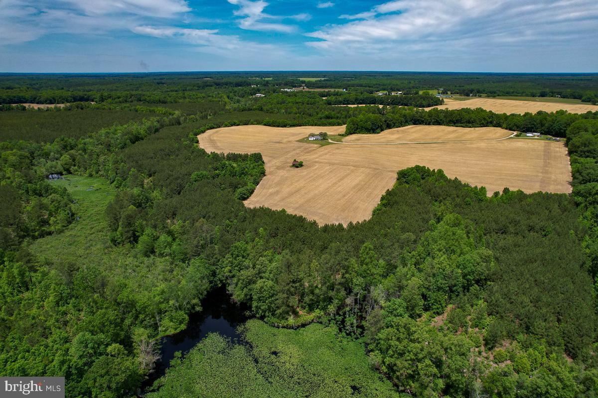 32082 SPARTA RD, MILFORD, Virginia 22514, 2 Bedrooms Bedrooms, ,1 BathroomBathrooms,Residential,For sale,32082 SPARTA RD,VACV2008182 MLS # VACV2008182