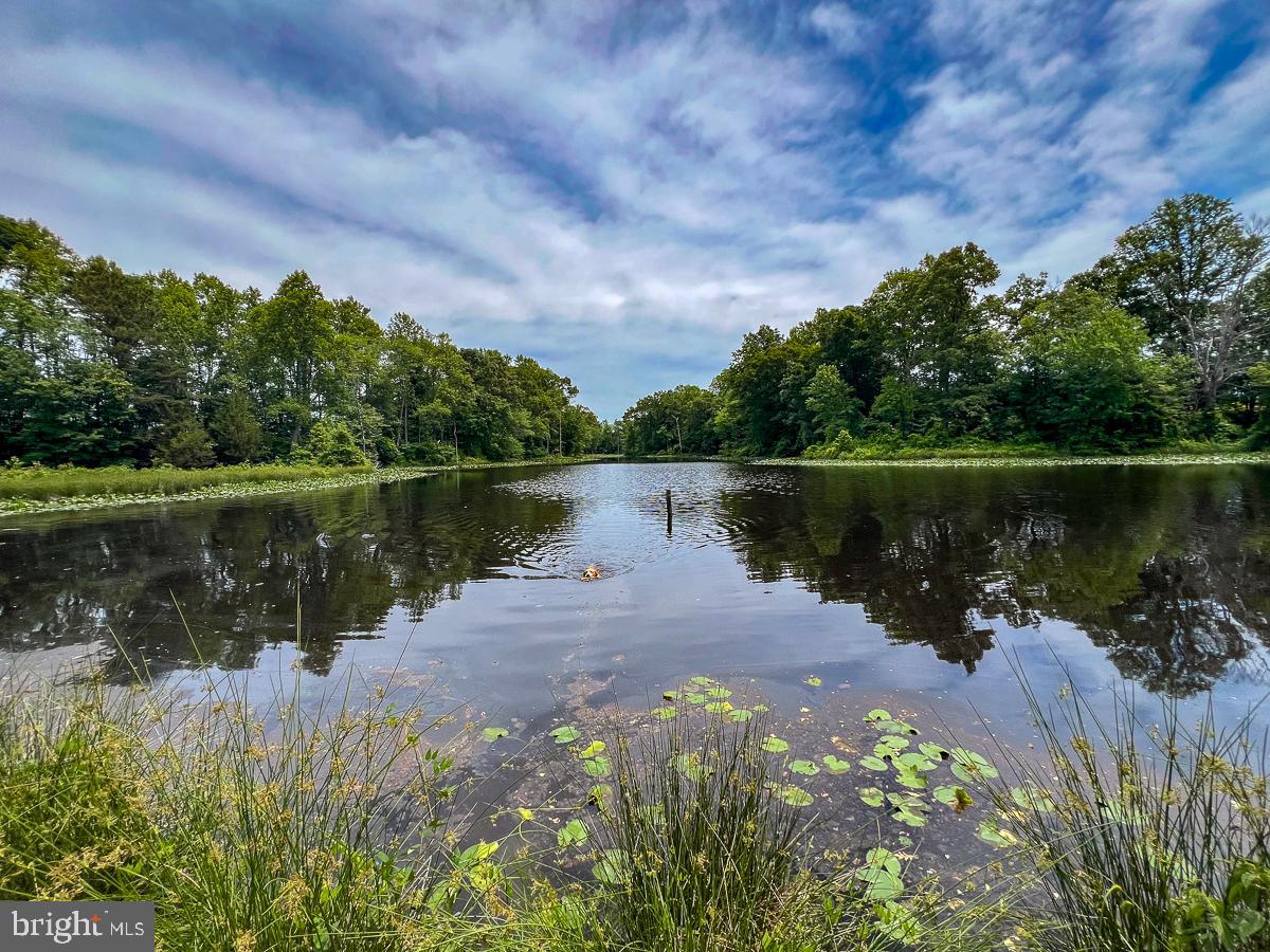 32082 SPARTA RD, MILFORD, Virginia 22514, 2 Bedrooms Bedrooms, ,1 BathroomBathrooms,Residential,For sale,32082 SPARTA RD,VACV2008182 MLS # VACV2008182