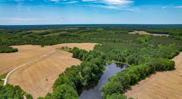 32082 SPARTA RD, MILFORD, Virginia 22514, 2 Bedrooms Bedrooms, ,1 BathroomBathrooms,Residential,For sale,32082 SPARTA RD,VACV2008182 MLS # VACV2008182