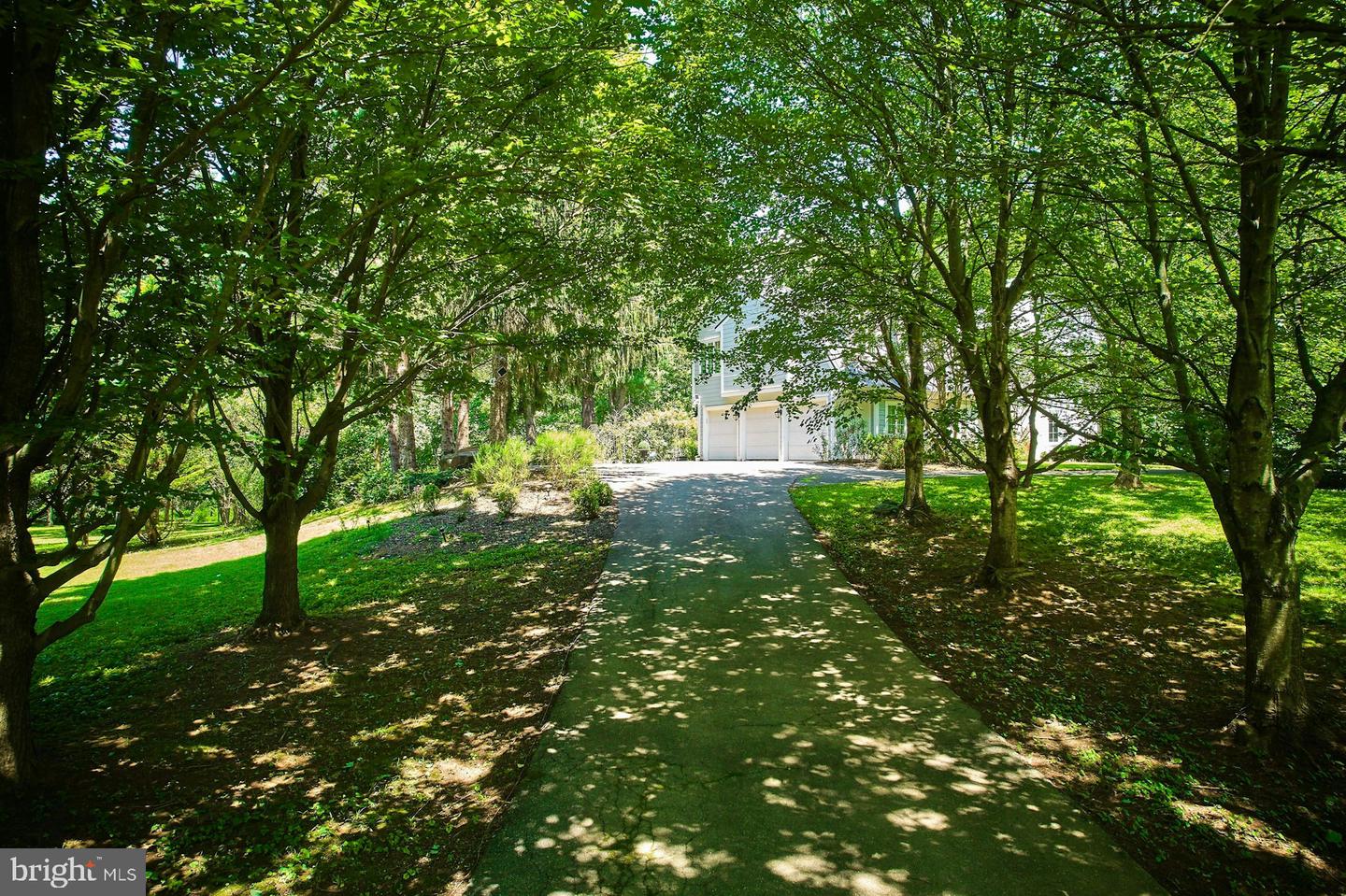 37193 ADAMS GREEN LN, MIDDLEBURG, Virginia 20117, 5 Bedrooms Bedrooms, ,4 BathroomsBathrooms,Residential,For sale,37193 ADAMS GREEN LN,VALO2098618 MLS # VALO2098618