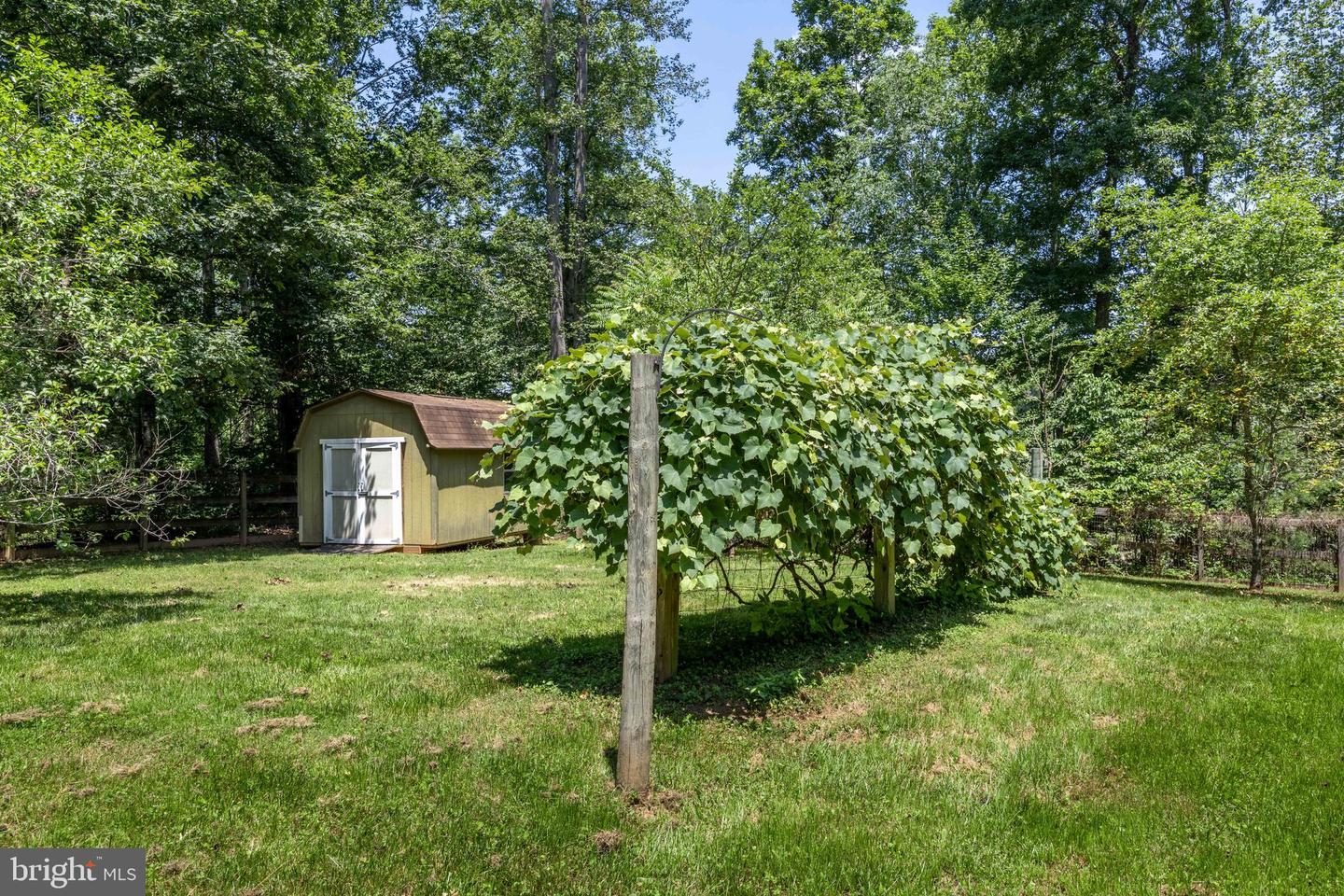 573 LIBERTY LN, MADISON, Virginia 22727, 3 Bedrooms Bedrooms, ,2 BathroomsBathrooms,Residential,For sale,573 LIBERTY LN,VAMA2002290 MLS # VAMA2002290