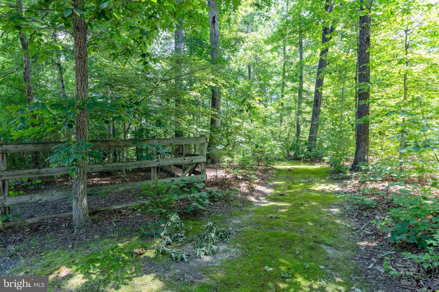 573 LIBERTY LN, MADISON, Virginia 22727, 3 Bedrooms Bedrooms, ,2 BathroomsBathrooms,Residential,For sale,573 LIBERTY LN,VAMA2002290 MLS # VAMA2002290