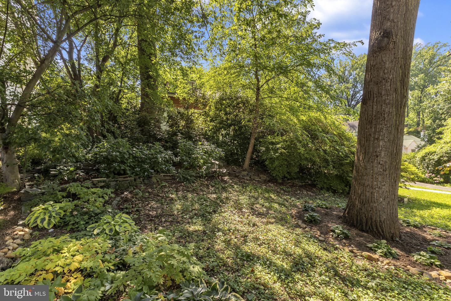 2234 N VERMONT ST, ARLINGTON, Virginia 22207, 3 Bedrooms Bedrooms, ,2 BathroomsBathrooms,Residential,For sale,2234 N VERMONT ST,VAAR2059108 MLS # VAAR2059108