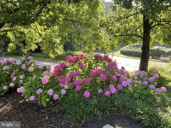 5902 MOUNT EAGLE DR #1209, ALEXANDRIA, Virginia 22303, 2 Bedrooms Bedrooms, ,2 BathroomsBathrooms,Residential,For sale,5902 MOUNT EAGLE DR #1209,VAFX2248110 MLS # VAFX2248110