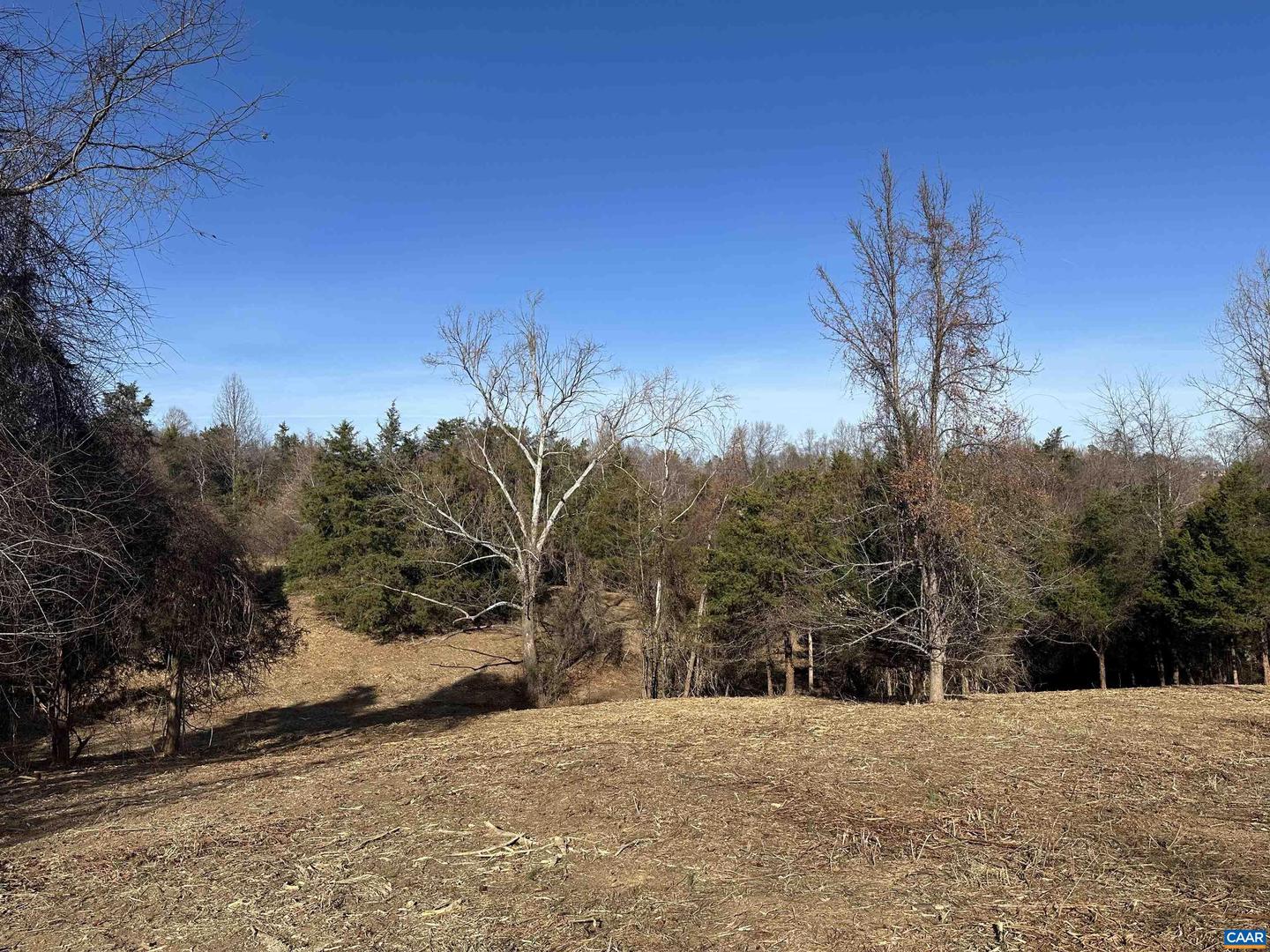 2 GRAND VIEW DR #2, CHARLOTTESVILLE, Virginia 22901, ,Land,For sale,2 GRAND VIEW DR #2,659319 MLS # 659319