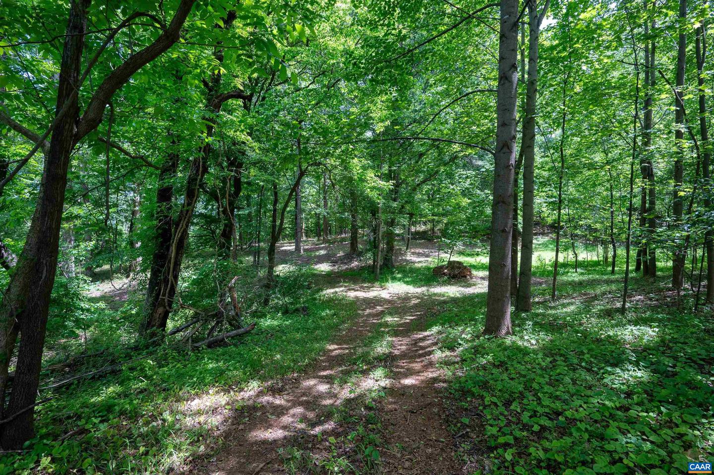 TBD HALF MILE BRANCH RD #055A0-00-00-00500, CROZET, Virginia 22932, ,Land,For sale,TBD HALF MILE BRANCH RD #055A0-00-00-00500,664580 MLS # 664580