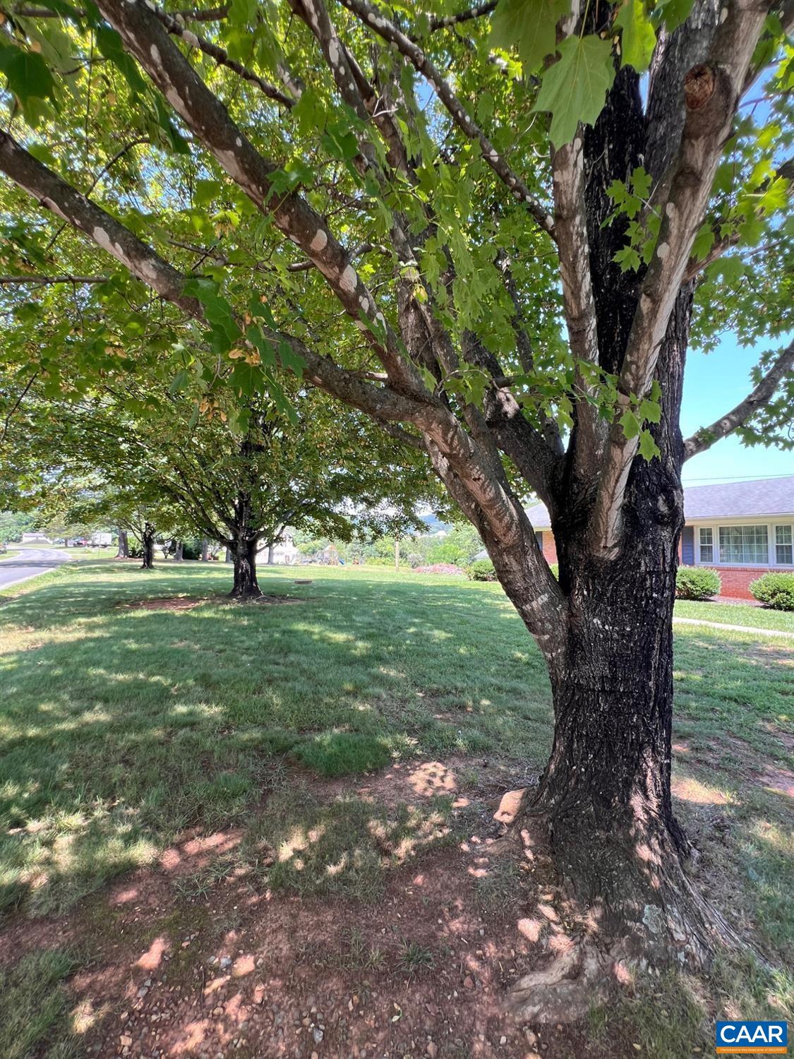 1410 STEVENS COVE RD, LOVINGSTON, Virginia 22949, 3 Bedrooms Bedrooms, ,2 BathroomsBathrooms,Residential,1410 STEVENS COVE RD,666212 MLS # 666212
