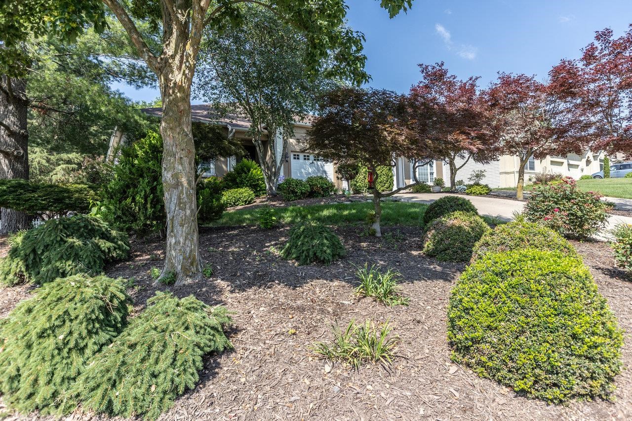 2974 CULLISON CT, ROCKINGHAM, Virginia 22801, 2 Bedrooms Bedrooms, ,2 BathroomsBathrooms,Residential,2974 CULLISON CT,666216 MLS # 666216