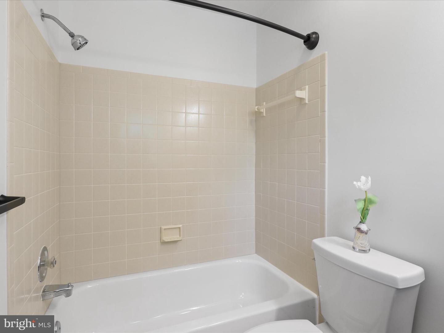 1802-H 9TH ST S, ARLINGTON, Virginia 22204, 3 Bedrooms Bedrooms, ,3 BathroomsBathrooms,Residential,For sale,1802-H 9TH ST S,VAAR2058982 MLS # VAAR2058982