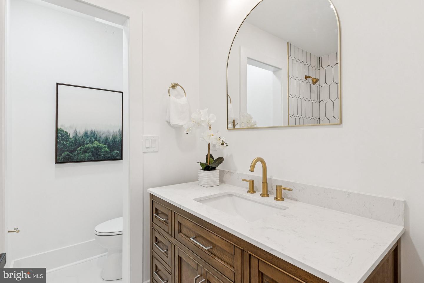 2608 4TH ST NE #1, WASHINGTON, District Of Columbia 20002, 3 Bedrooms Bedrooms, ,3 BathroomsBathrooms,Residential,For sale,2608 4TH ST NE #1,DCDC2205744 MLS # DCDC2205744