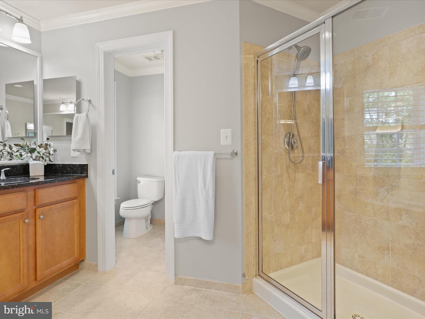 3545 GODDARD WAY, ALEXANDRIA, Virginia 22304, 3 Bedrooms Bedrooms, ,2 BathroomsBathrooms,Residential,For sale,3545 GODDARD WAY,VAAX2046700 MLS # VAAX2046700