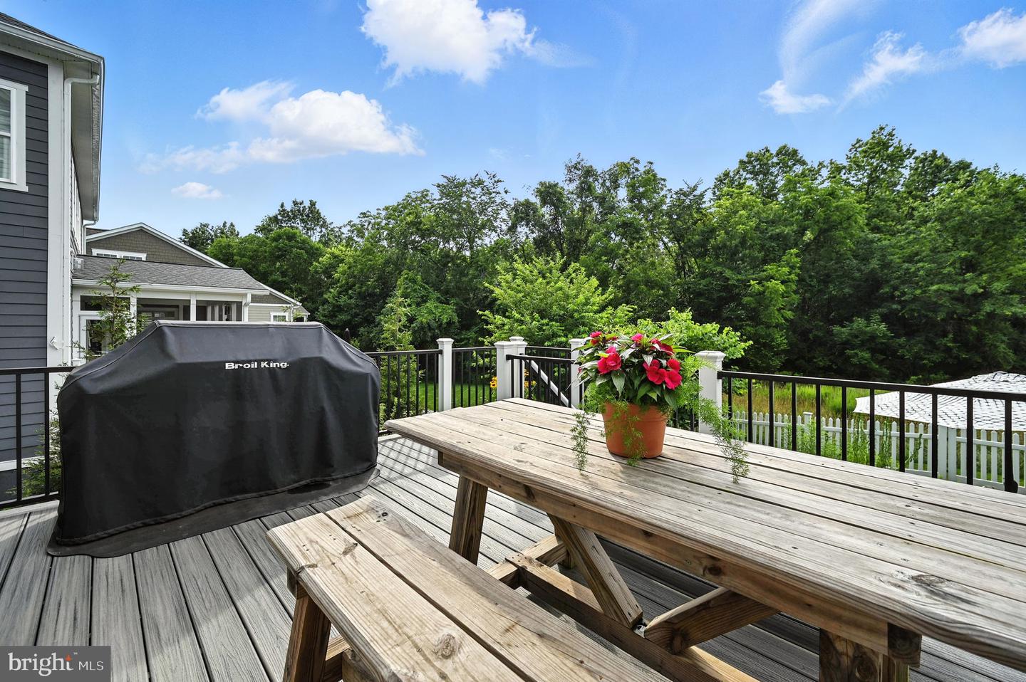 40960 RIVER CANE PL, ALDIE, Virginia 20105, 4 Bedrooms Bedrooms, ,4 BathroomsBathrooms,Residential,For sale,40960 RIVER CANE PL,VALO2100236 MLS # VALO2100236