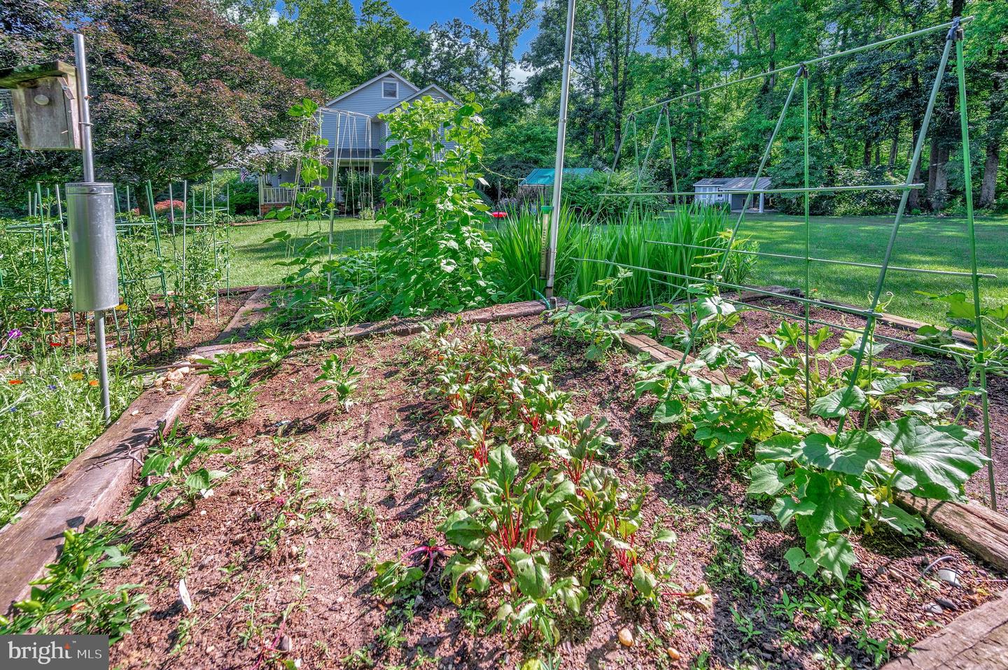 10415 SHAW DR, SPOTSYLVANIA, Virginia 22553, 4 Bedrooms Bedrooms, 9 Rooms Rooms,2 BathroomsBathrooms,Residential,For sale,10415 SHAW DR,VASP2034128 MLS # VASP2034128