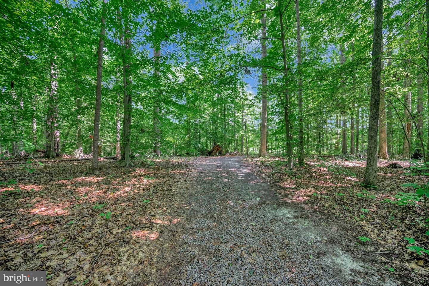 10415 SHAW DR, SPOTSYLVANIA, Virginia 22553, 4 Bedrooms Bedrooms, 9 Rooms Rooms,2 BathroomsBathrooms,Residential,For sale,10415 SHAW DR,VASP2034128 MLS # VASP2034128