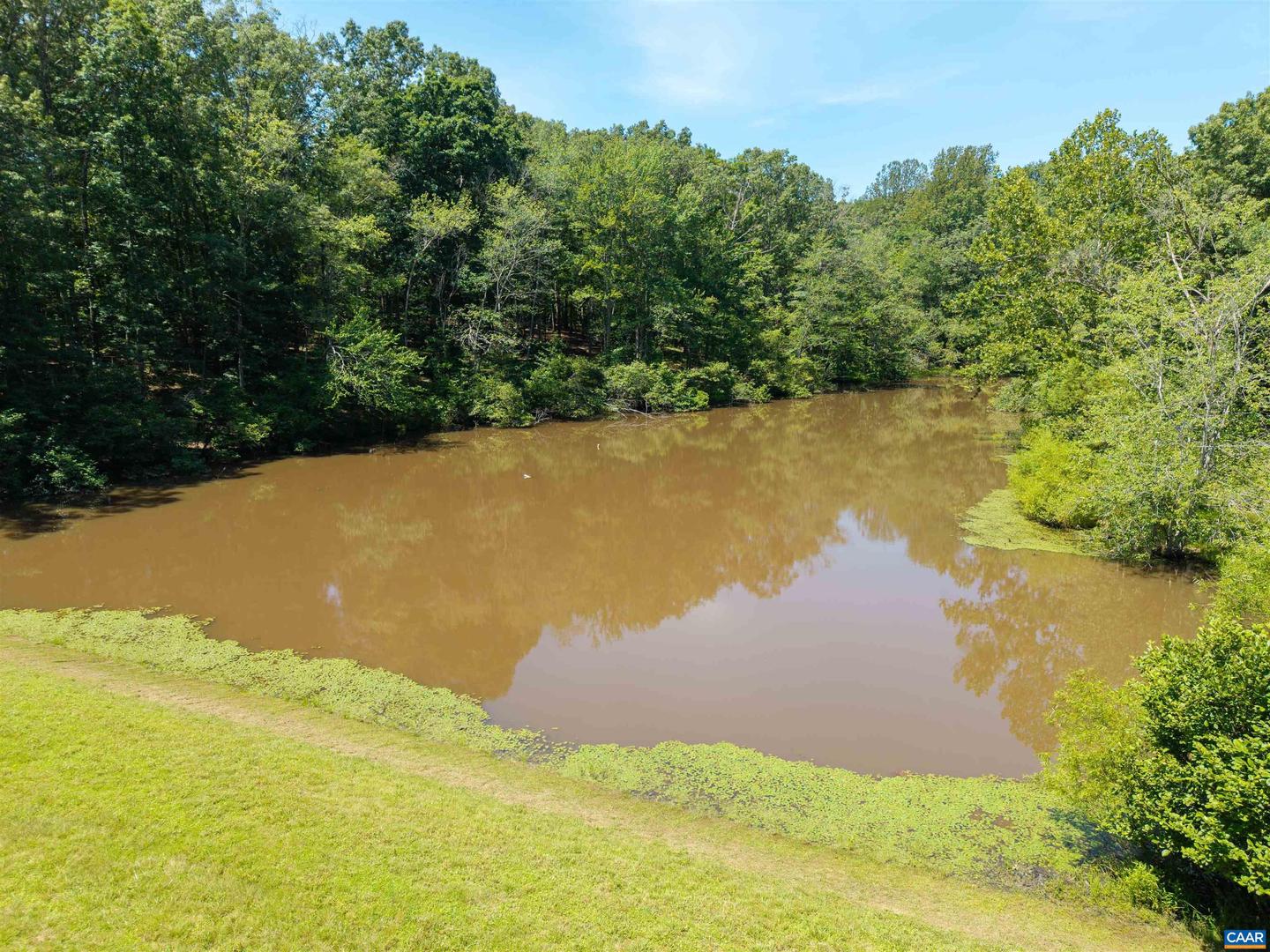1190 FOX RIDGE DR, EARLYSVILLE, Virginia 22936, 4 Bedrooms Bedrooms, ,4 BathroomsBathrooms,Residential,For sale,1190 FOX RIDGE DR,666065 MLS # 666065