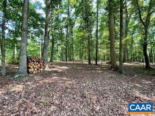 4375 GILBERT STATION RD, BARBOURSVILLE, Virginia 22923, ,Residential,4375 GILBERT STATION RD,666228 MLS # 666228