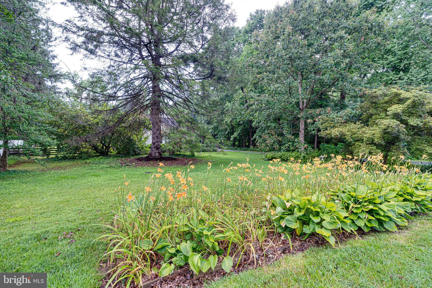 423 W COLONIAL HWY, HAMILTON, Virginia 20158, 4 Bedrooms Bedrooms, ,3 BathroomsBathrooms,Residential,For sale,423 W COLONIAL HWY,VALO2100552 MLS # VALO2100552