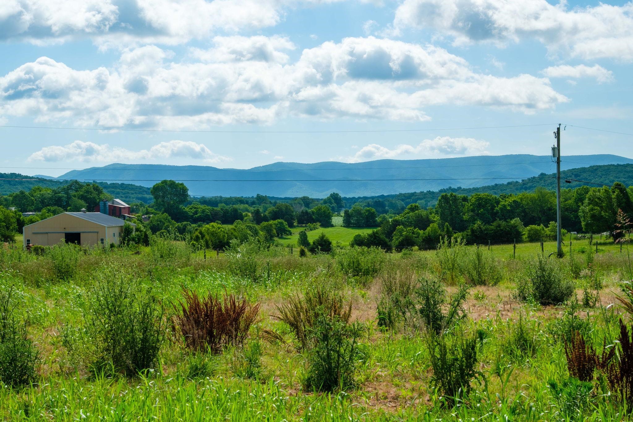 TBD LONG MEADOW RD, WAYNESBORO, Virginia 22980, ,Land,TBD LONG MEADOW RD,666231 MLS # 666231