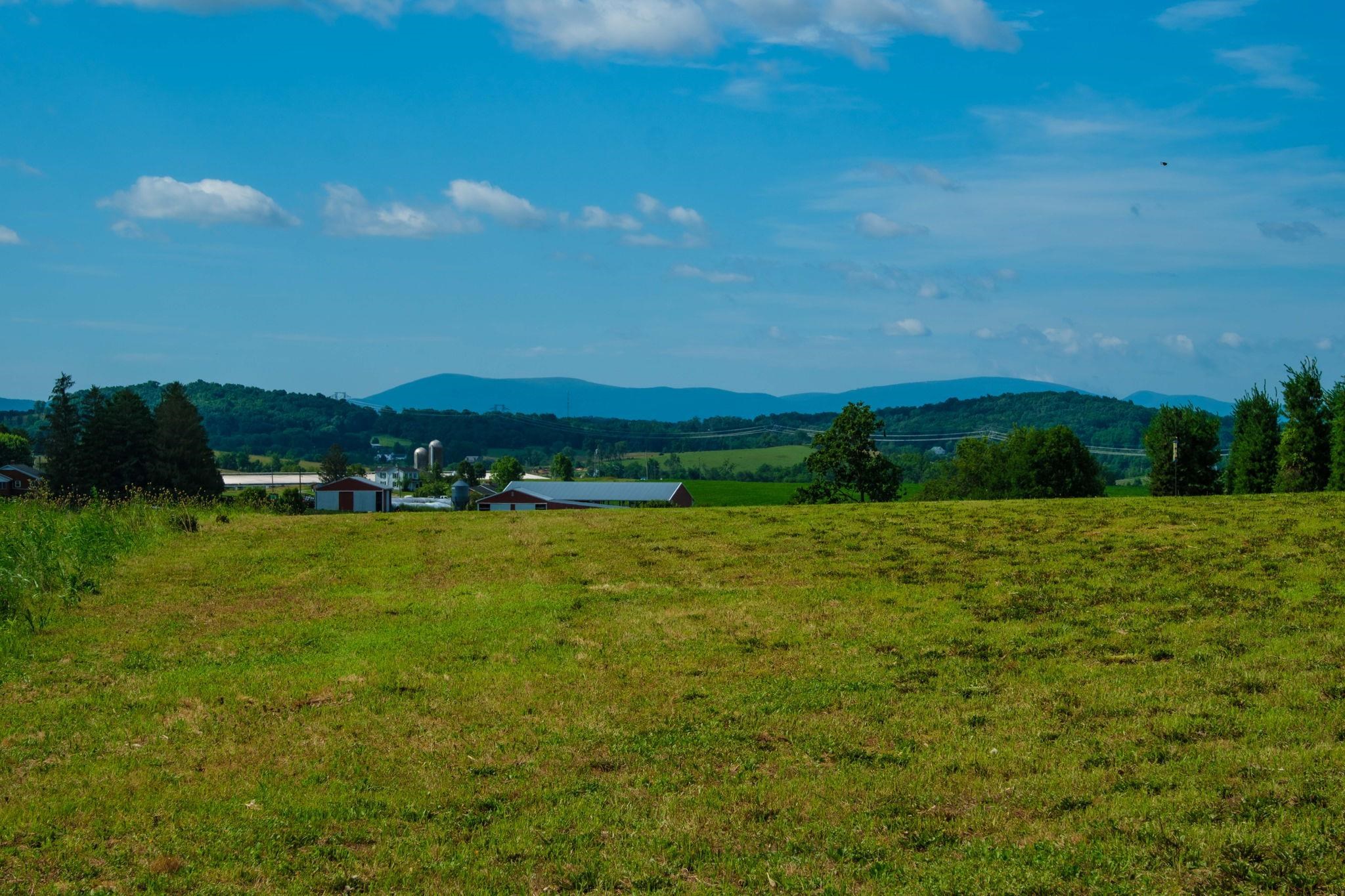 TBD LONG MEADOW RD, WAYNESBORO, Virginia 22980, ,Land,TBD LONG MEADOW RD,666231 MLS # 666231