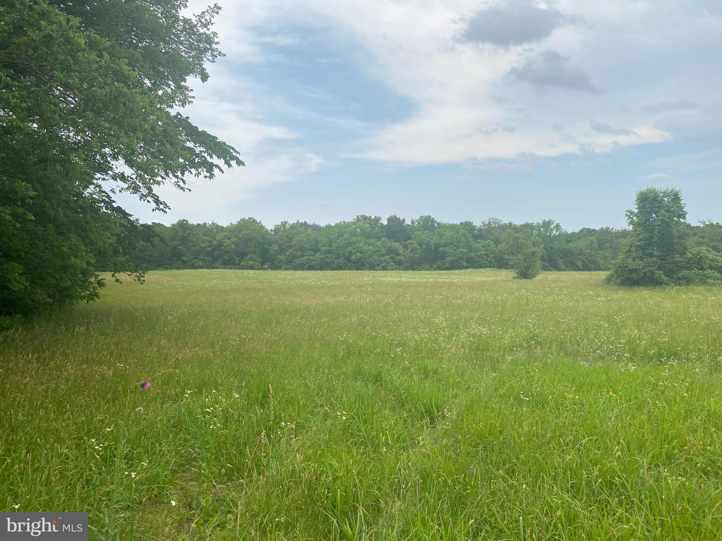 UNASSIGNED UNASSIGNED, MIDLAND, Virginia 22728, ,Land,For sale,UNASSIGNED UNASSIGNED,VAFQ2017186 MLS # VAFQ2017186