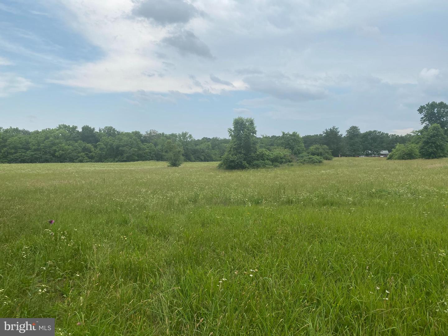 UNASSIGNED UNASSIGNED, MIDLAND, Virginia 22728, ,Land,For sale,UNASSIGNED UNASSIGNED,VAFQ2017186 MLS # VAFQ2017186