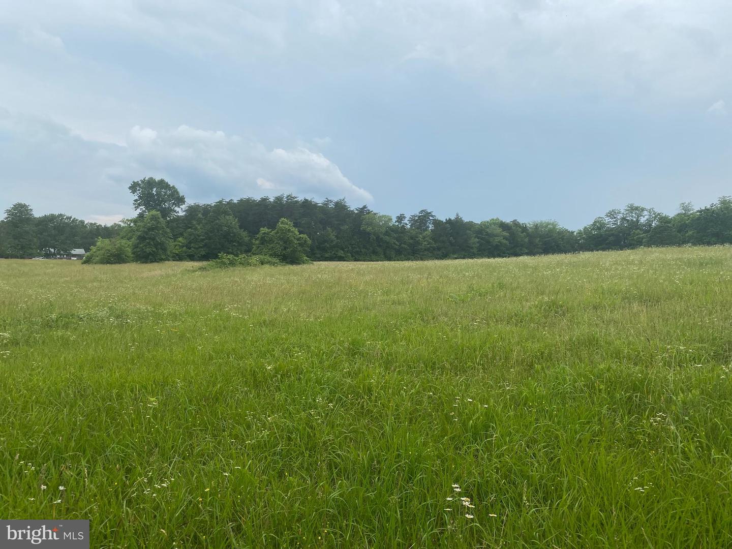 UNASSIGNED UNASSIGNED, MIDLAND, Virginia 22728, ,Land,For sale,UNASSIGNED UNASSIGNED,VAFQ2017186 MLS # VAFQ2017186