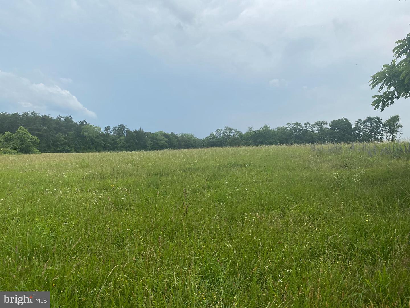 UNASSIGNED UNASSIGNED, MIDLAND, Virginia 22728, ,Land,For sale,UNASSIGNED UNASSIGNED,VAFQ2017186 MLS # VAFQ2017186