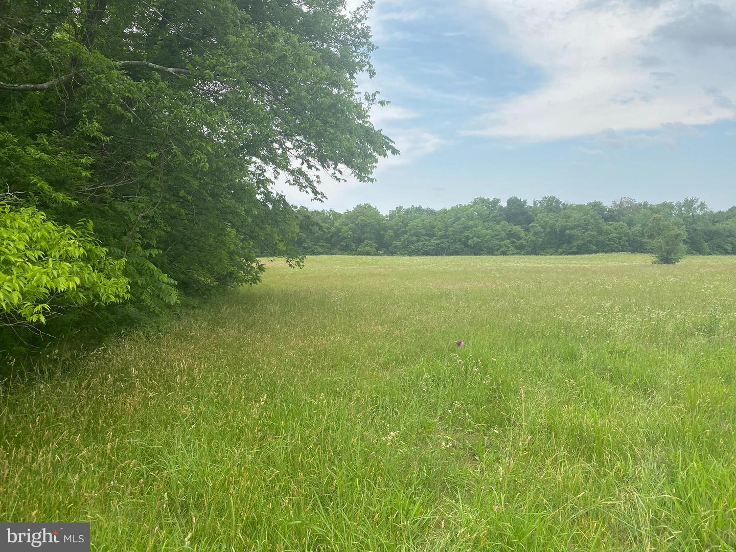 UNASSIGNED UNASSIGNED, MIDLAND, Virginia 22728, ,Land,For sale,UNASSIGNED UNASSIGNED,VAFQ2017186 MLS # VAFQ2017186