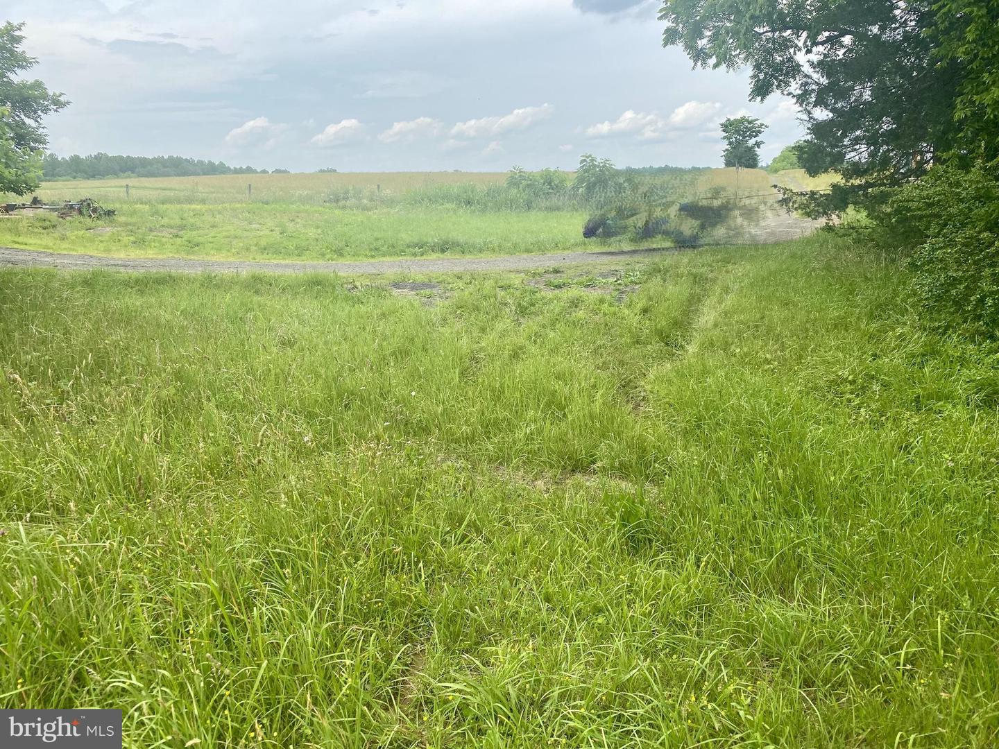 UNASSIGNED UNASSIGNED, MIDLAND, Virginia 22728, ,Land,For sale,UNASSIGNED UNASSIGNED,VAFQ2017186 MLS # VAFQ2017186