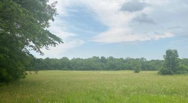 UNASSIGNED UNASSIGNED, MIDLAND, Virginia 22728, ,Land,For sale,UNASSIGNED UNASSIGNED,VAFQ2017186 MLS # VAFQ2017186