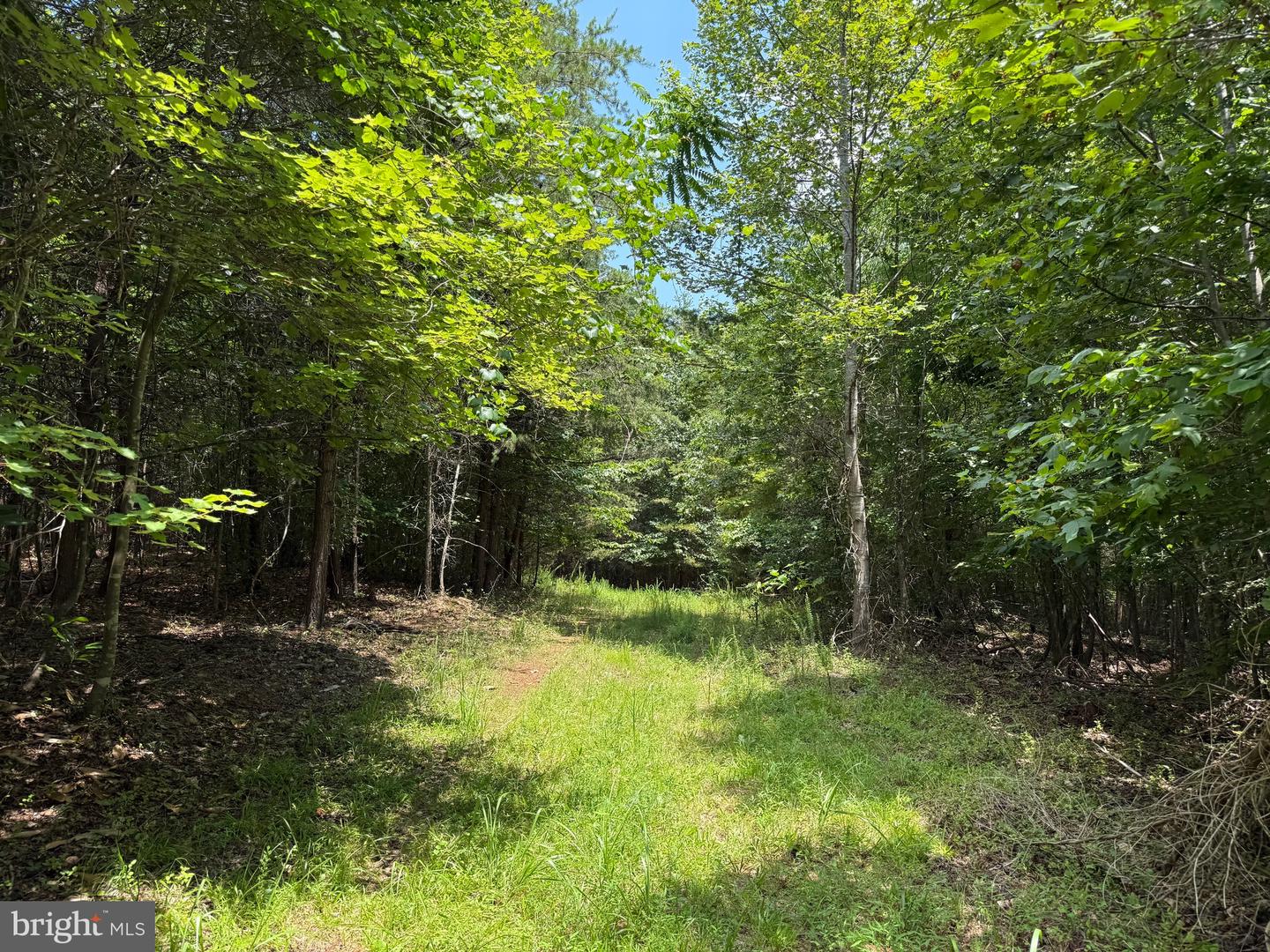 TBD LANCER LN, MARTINSVILLE, Virginia 24112, ,Land,For sale,TBD LANCER LN,VAHE2000028 MLS # VAHE2000028
