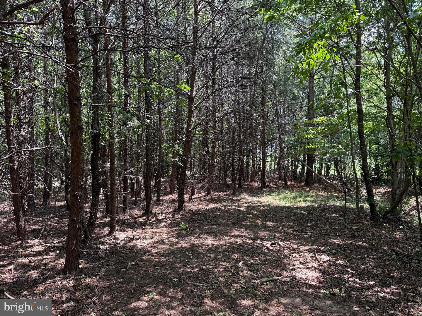 TBD LANCER LN, MARTINSVILLE, Virginia 24112, ,Land,For sale,TBD LANCER LN,VAHE2000028 MLS # VAHE2000028