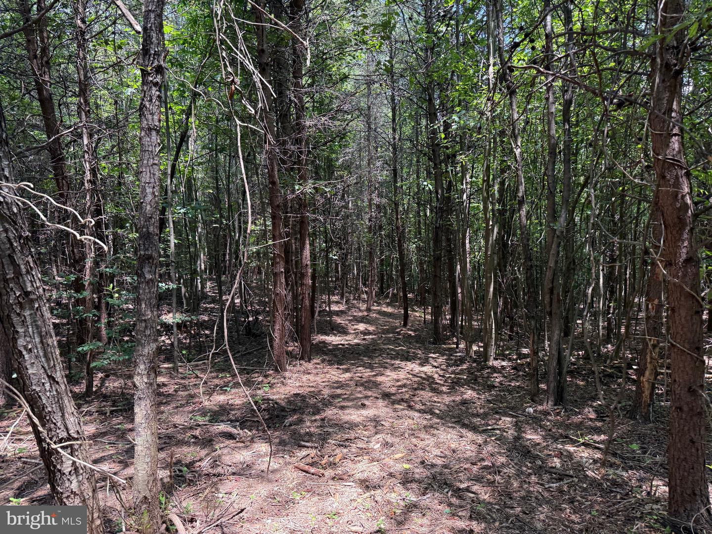 TBD LANCER LN, MARTINSVILLE, Virginia 24112, ,Land,For sale,TBD LANCER LN,VAHE2000028 MLS # VAHE2000028