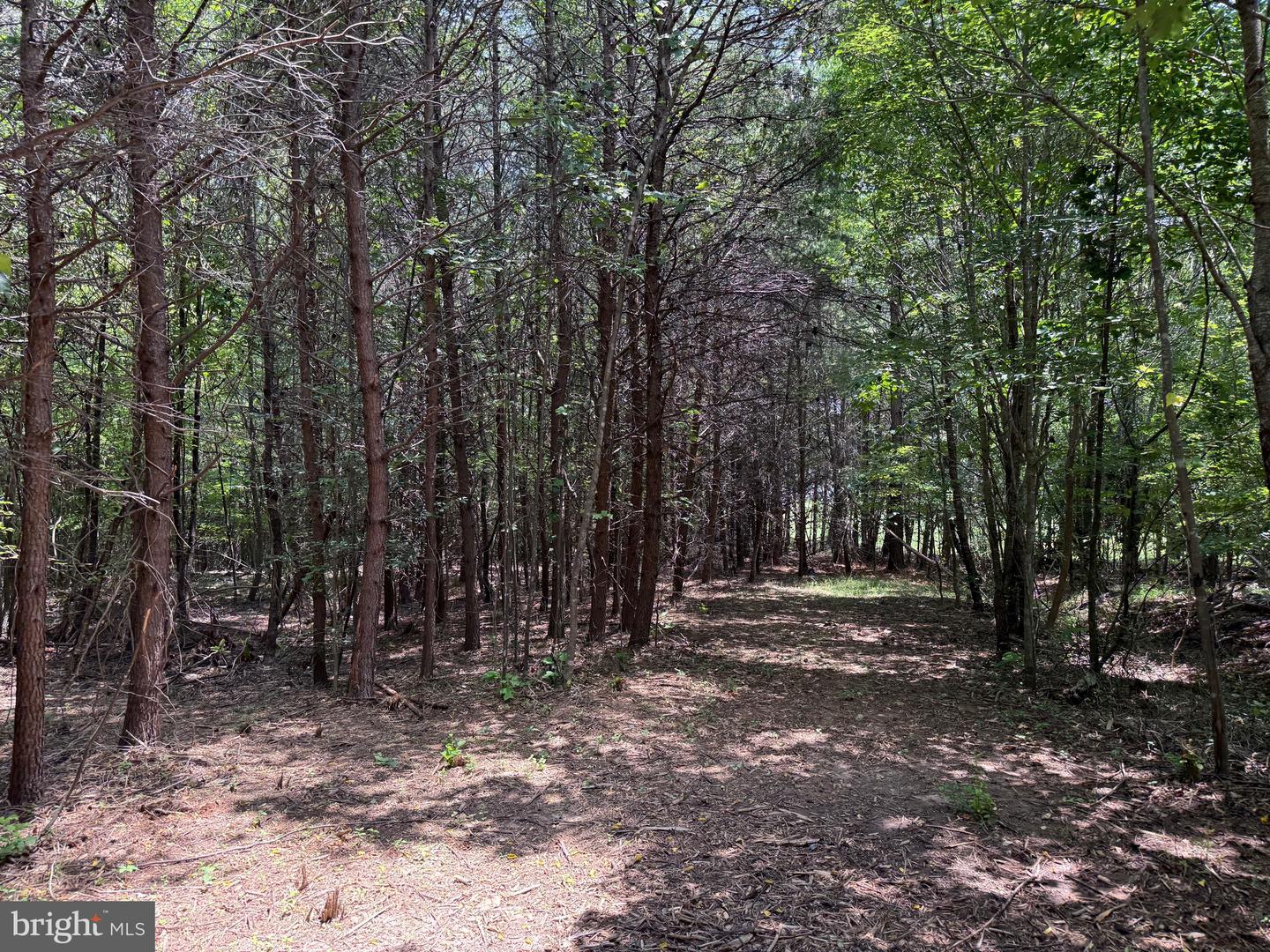 TBD LANCER LN, MARTINSVILLE, Virginia 24112, ,Land,For sale,TBD LANCER LN,VAHE2000028 MLS # VAHE2000028