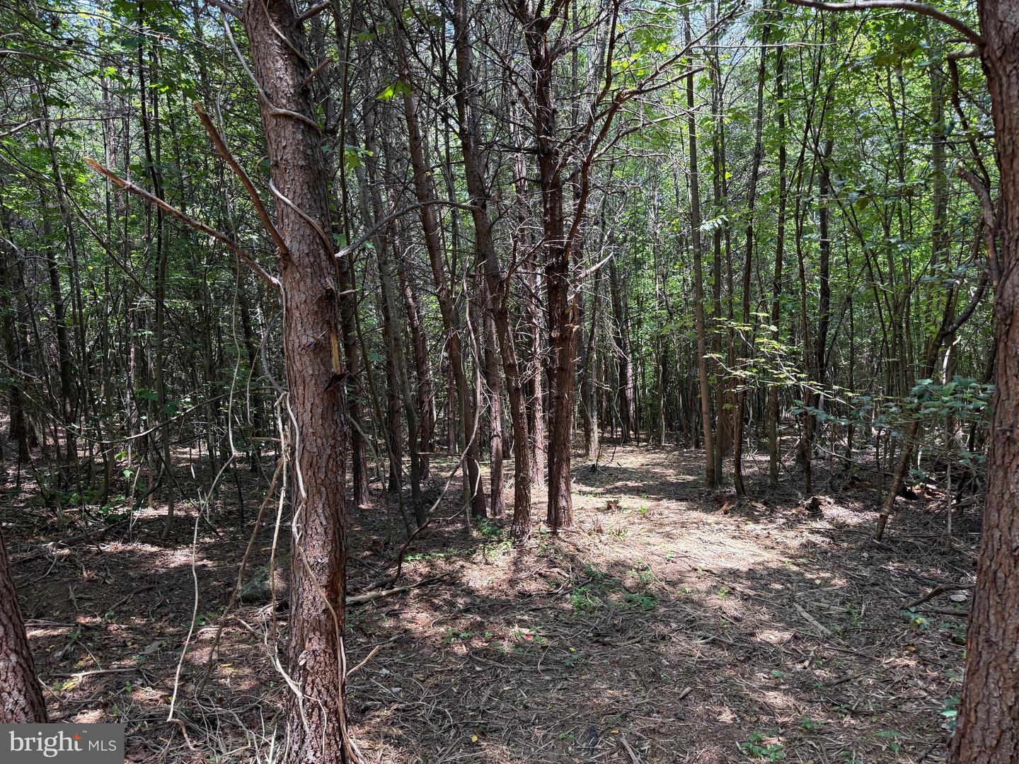 TBD LANCER LN, MARTINSVILLE, Virginia 24112, ,Land,For sale,TBD LANCER LN,VAHE2000028 MLS # VAHE2000028