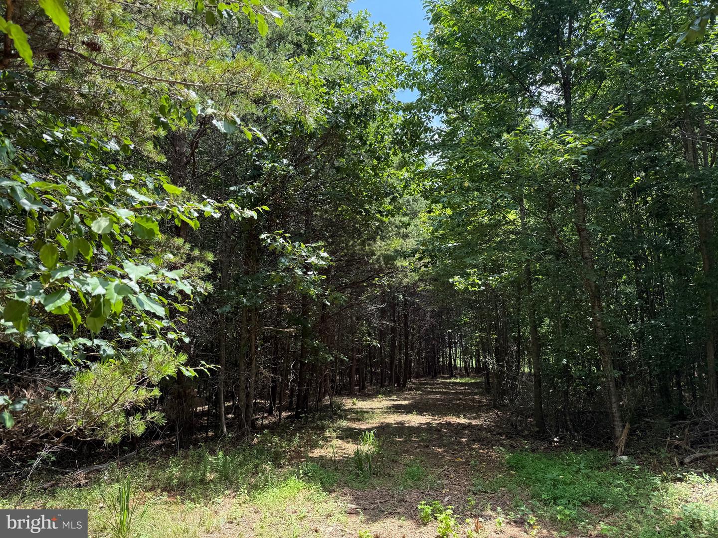 TBD LANCER LN, MARTINSVILLE, Virginia 24112, ,Land,For sale,TBD LANCER LN,VAHE2000028 MLS # VAHE2000028