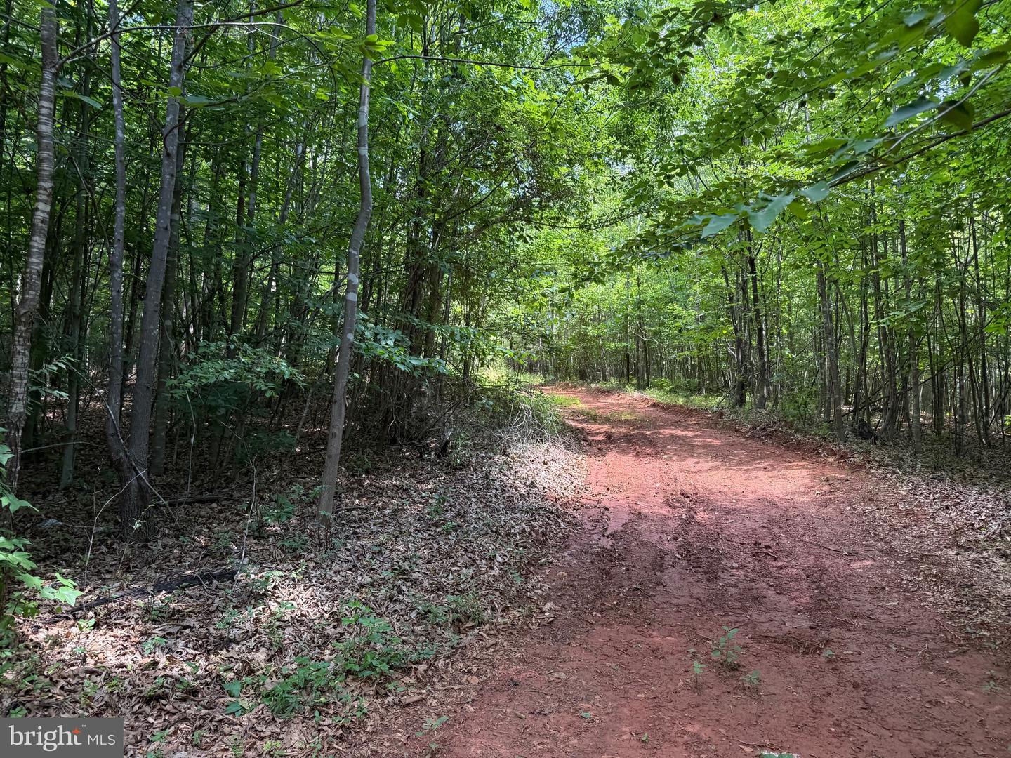 TBD LANCER LN, MARTINSVILLE, Virginia 24112, ,Land,For sale,TBD LANCER LN,VAHE2000028 MLS # VAHE2000028